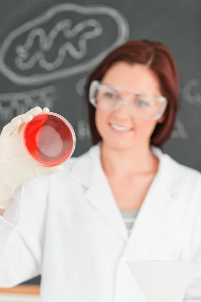 Egy vörös hajú tudós látszó-on egy petri-csészébe portréja — Stock Fotó
