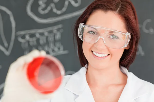 A gyönyörű tudós, látszó-on egy petri-csészébe közelről — Stock Fotó