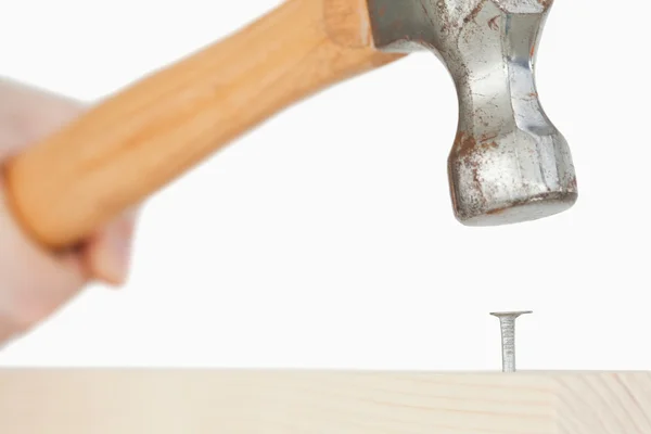 Mão segurando um martelo para dirigir um prego em uma placa de madeira — Fotografia de Stock