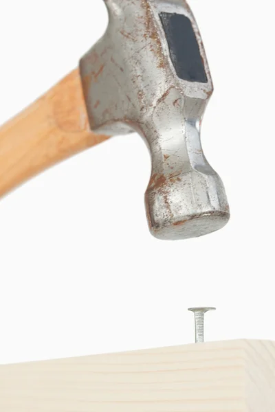 Portrait of a hammer driving a nail — Stock Photo, Image