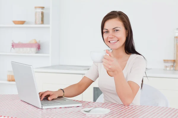 Morena encantadora usando seu laptop e tomando um chá — Fotografia de Stock