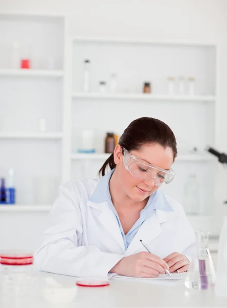 Portrait of a young scientist preparing a report Stock Image