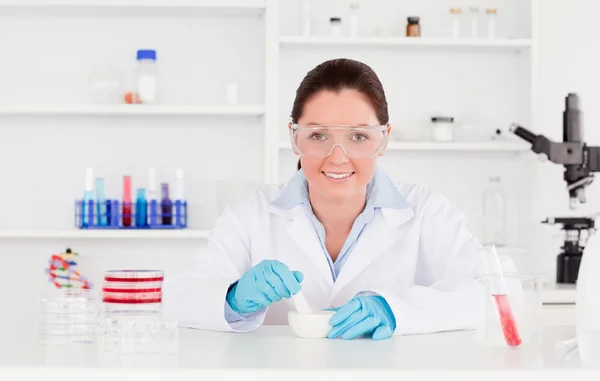 Young scientist preparing an experimentation looking at the came Stock Photo