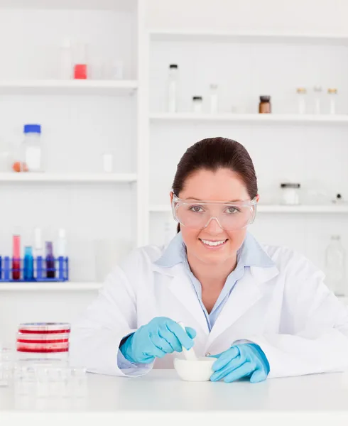 Smiling scientist preparing an experimentaion Royalty Free Stock Photos