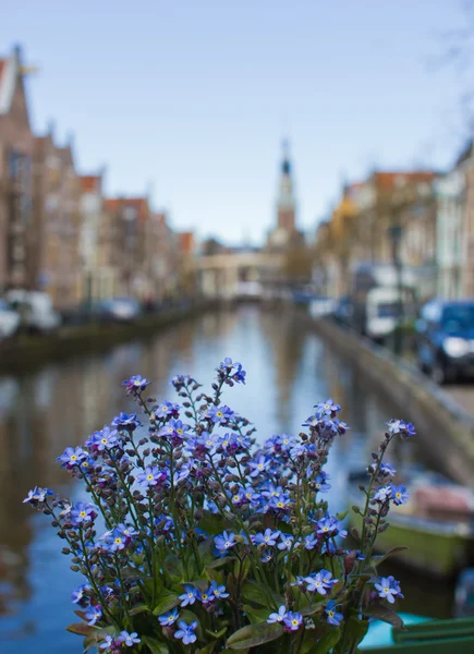 Цветы на открытом воздухе над каналом на фоне традиционных — стоковое фото