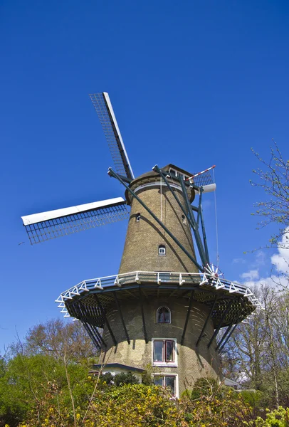 Moinho de vento em Alkmaar — Fotografia de Stock