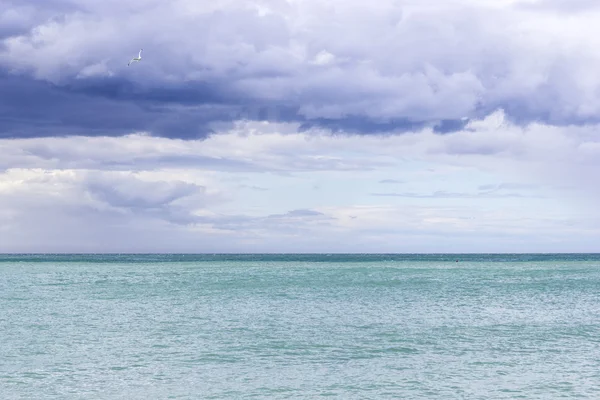 Krásné azurové moře a Racek v zatažené obloze modré — Stock fotografie