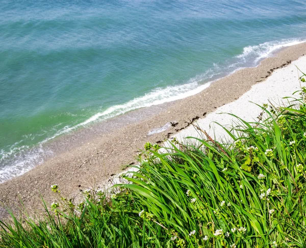 Piękne morze? widok z urwiska z zieloną trawą i flo — Zdjęcie stockowe