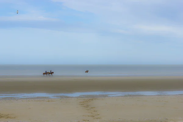 Três cavaleiros na praia de areia na maré baixa — Fotografia de Stock