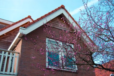 Window in the attic storey(loft) coated with terracotta tiles clipart