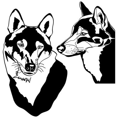 Vector image of wolf clipart