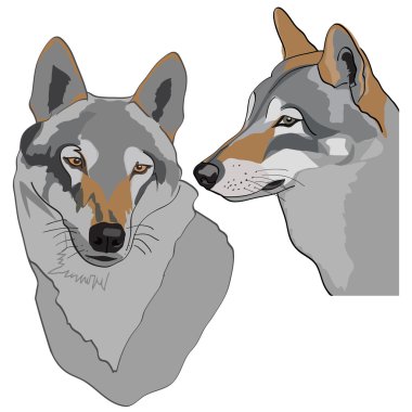 Vector image of wolf clipart