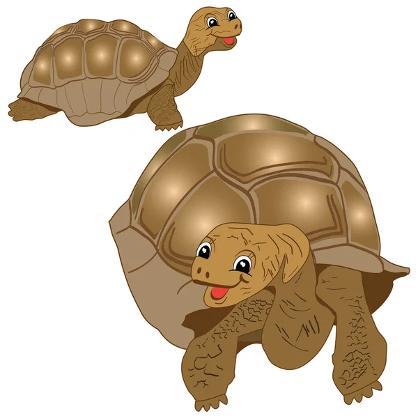 Roliga sköldpaddor — Stock vektor