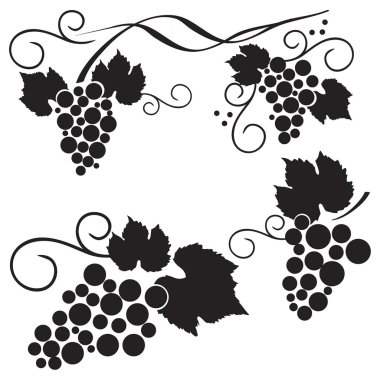 Set of grape design elements