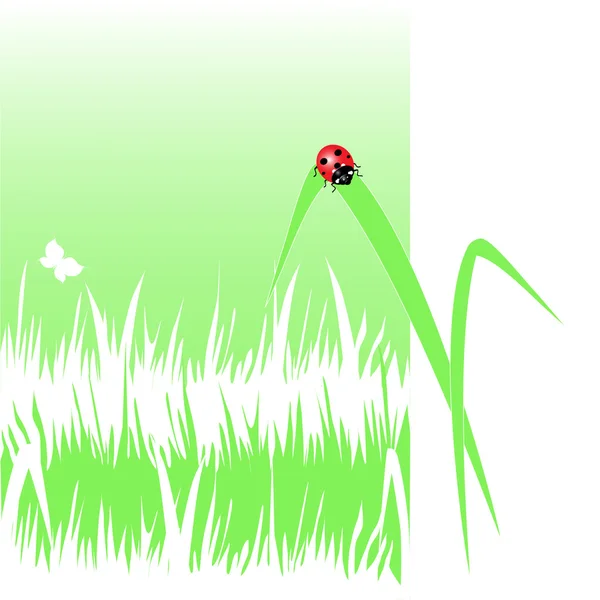 Coccinella sull'erba — Vettoriale Stock