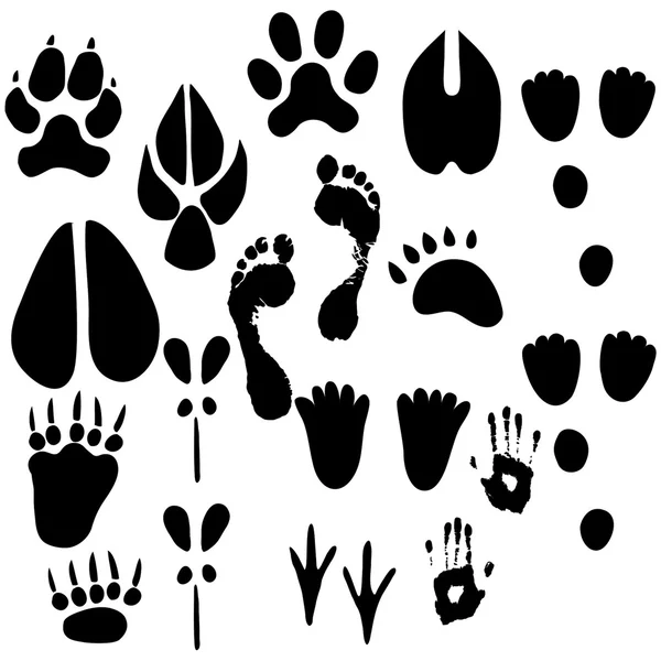 Set of footprints — Stock Vector