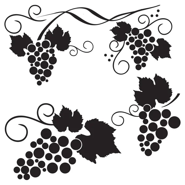 Set of grape design elements — Stock Vector