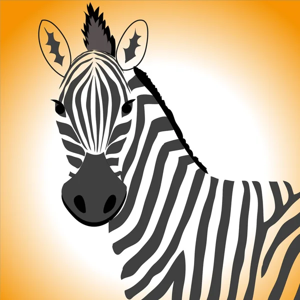 Zebra portrait — Stock Vector