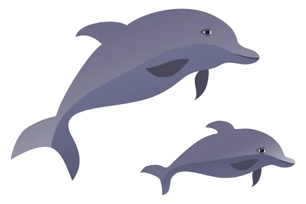 stock vector Pair Dolphins