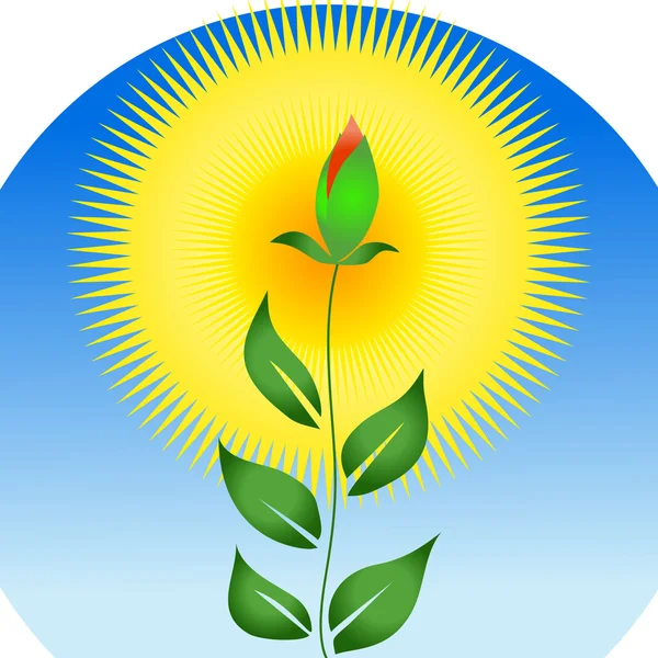 Soyut çiçek — Stok Vektör