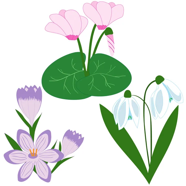 Conjunto de flores de primavera — Vector de stock