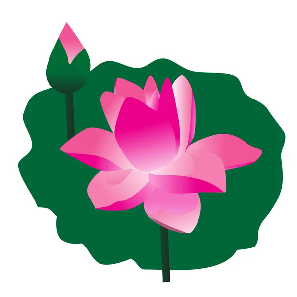 Fleurs de Lotus — Image vectorielle
