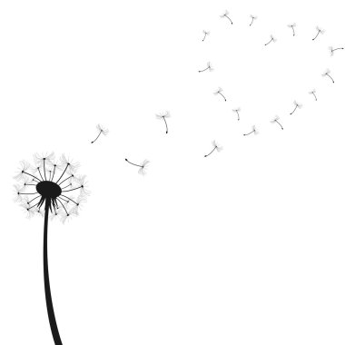 Dandelion Illustration clipart