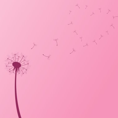 Dandelion Illustration clipart