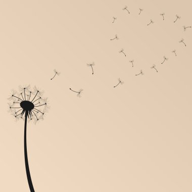 Dandelion Illustration clipart