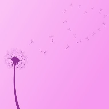 Dandelion Illustration clipart