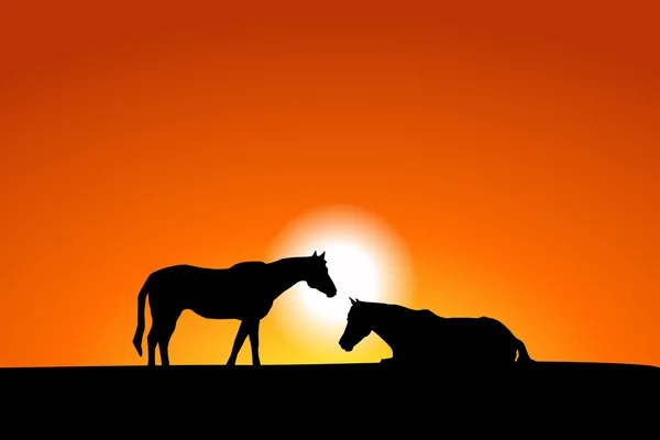 Cavalos ao pôr do sol — Vetor de Stock