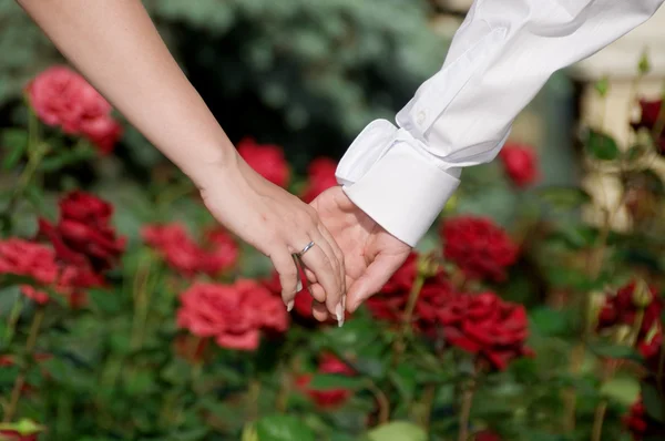 Ruce nevěsty a ženicha — Stock fotografie