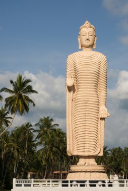 Tsunami kurbanları Buda Anıtı