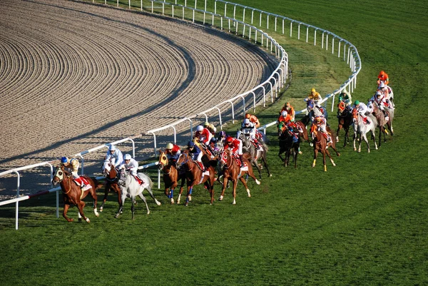 Carreras de caballos — Foto de Stock