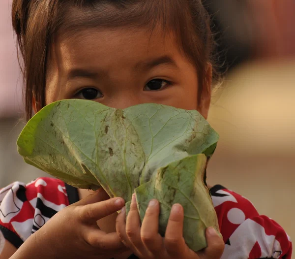 Little girl with cabbage leaves — Stock Photo, Image