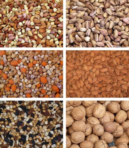 stock image Nuts collection