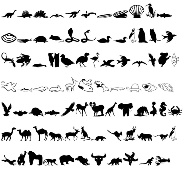 Icon animals — Stock Photo, Image