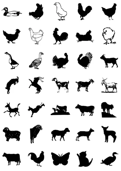 Icono animales — Foto de Stock