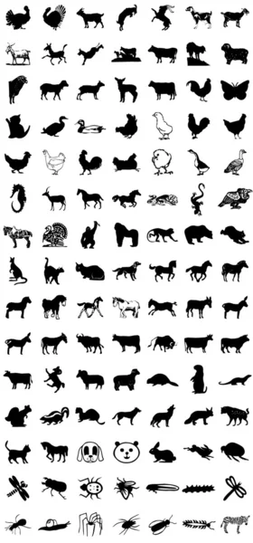 Ikony zwierząt — Zdjęcie stockowe