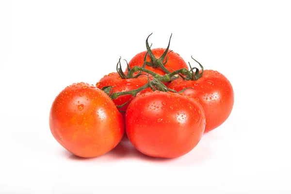 Κόκκινη ντομάτα, απομονωμένη — Φωτογραφία Αρχείου