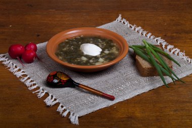 Rus yemekleri. ısırgan otu çorbası