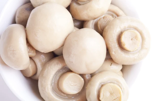 盐渍的蘑菇 — 图库照片