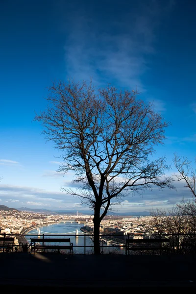 Veduta di Budapest sulla collina di Gellert — Foto Stock