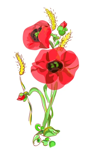 Bouquet with poppies and ears. — Stock Vector