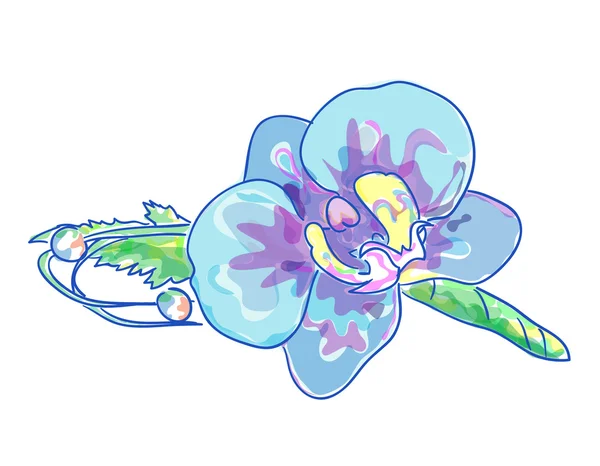 Boda Boutonniere con orquídeas azules y perlas . — Archivo Imágenes Vectoriales