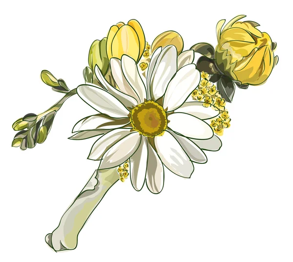 Boutonniere con crisantemo blanco . — Archivo Imágenes Vectoriales