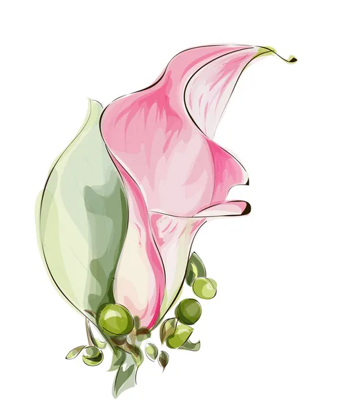 Розовая Калла . — стоковый вектор