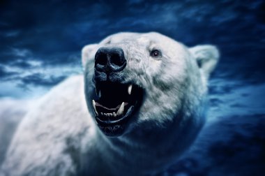 Angry polar bear clipart