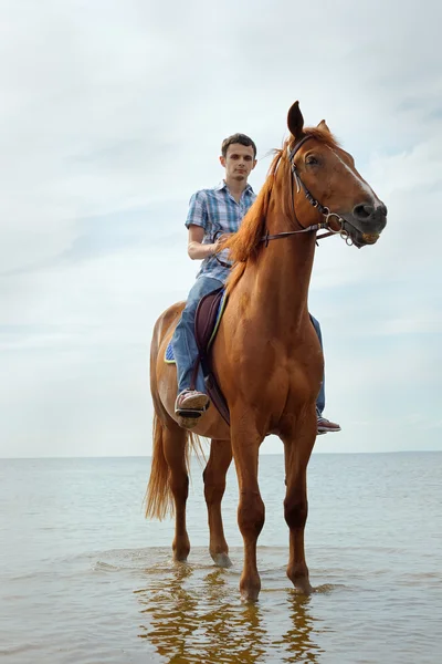 Mies hevosen selässä — kuvapankkivalokuva