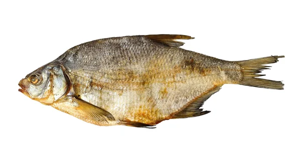 Suché ryby izolované — Stock fotografie